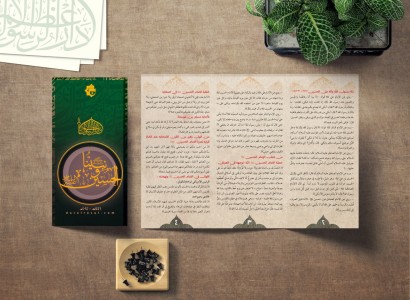 من خلال توزيع البروشورات... دار الرسول الأعظم تطلق حملة تثقيفية لزائري الأربعين